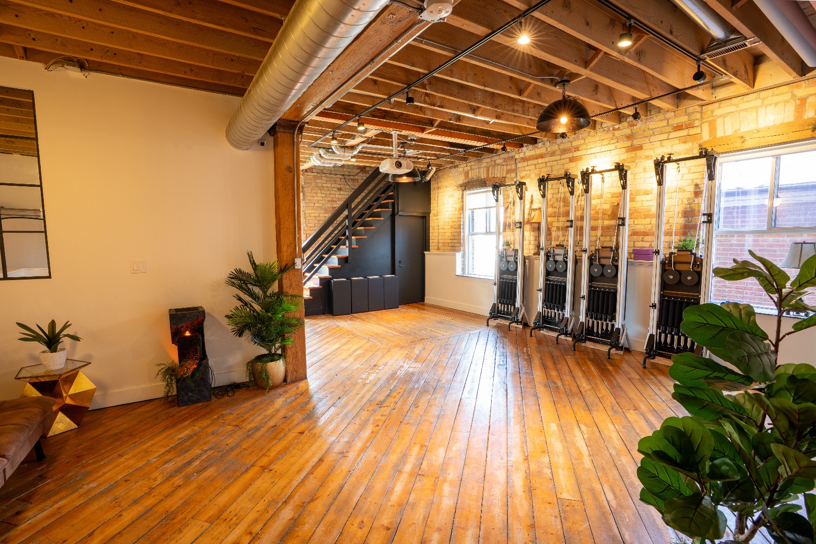 TO_Kinesiology_Rehab_Space_AnaDecanini_1